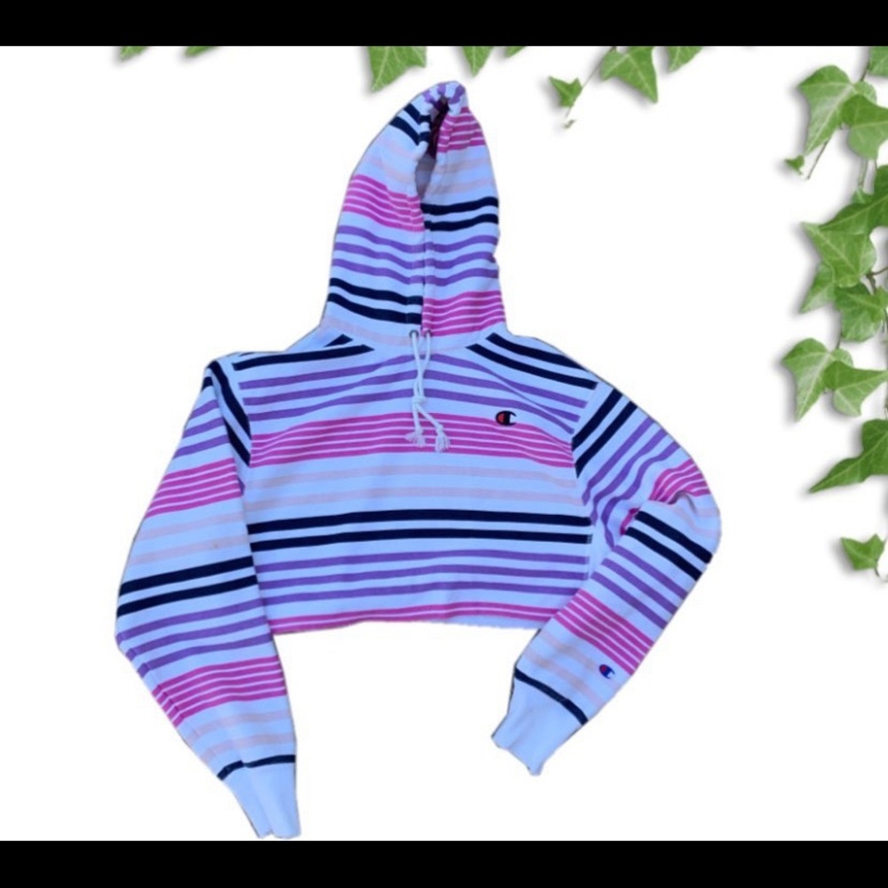Champion reverse weave cropped hoodie